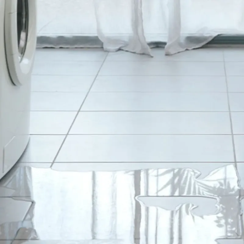 Appliance Leak Cleanup in Oak Hills, OR